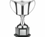 nickle plated cup