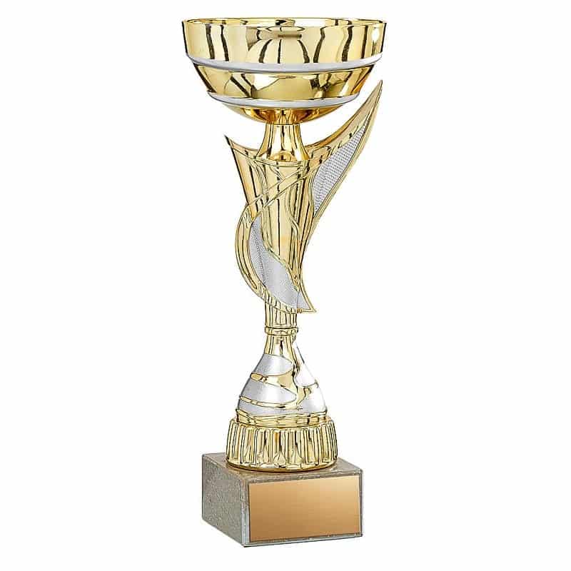 gold silver economy cup
