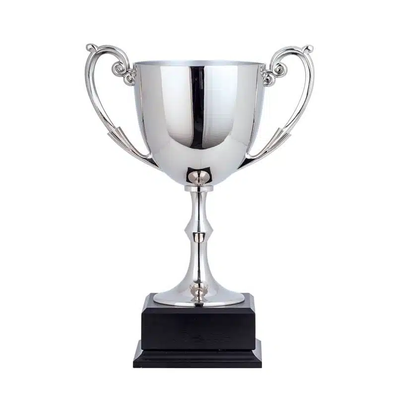 silver award cup
