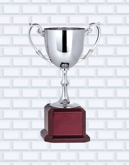 Metal on sale athletic cup